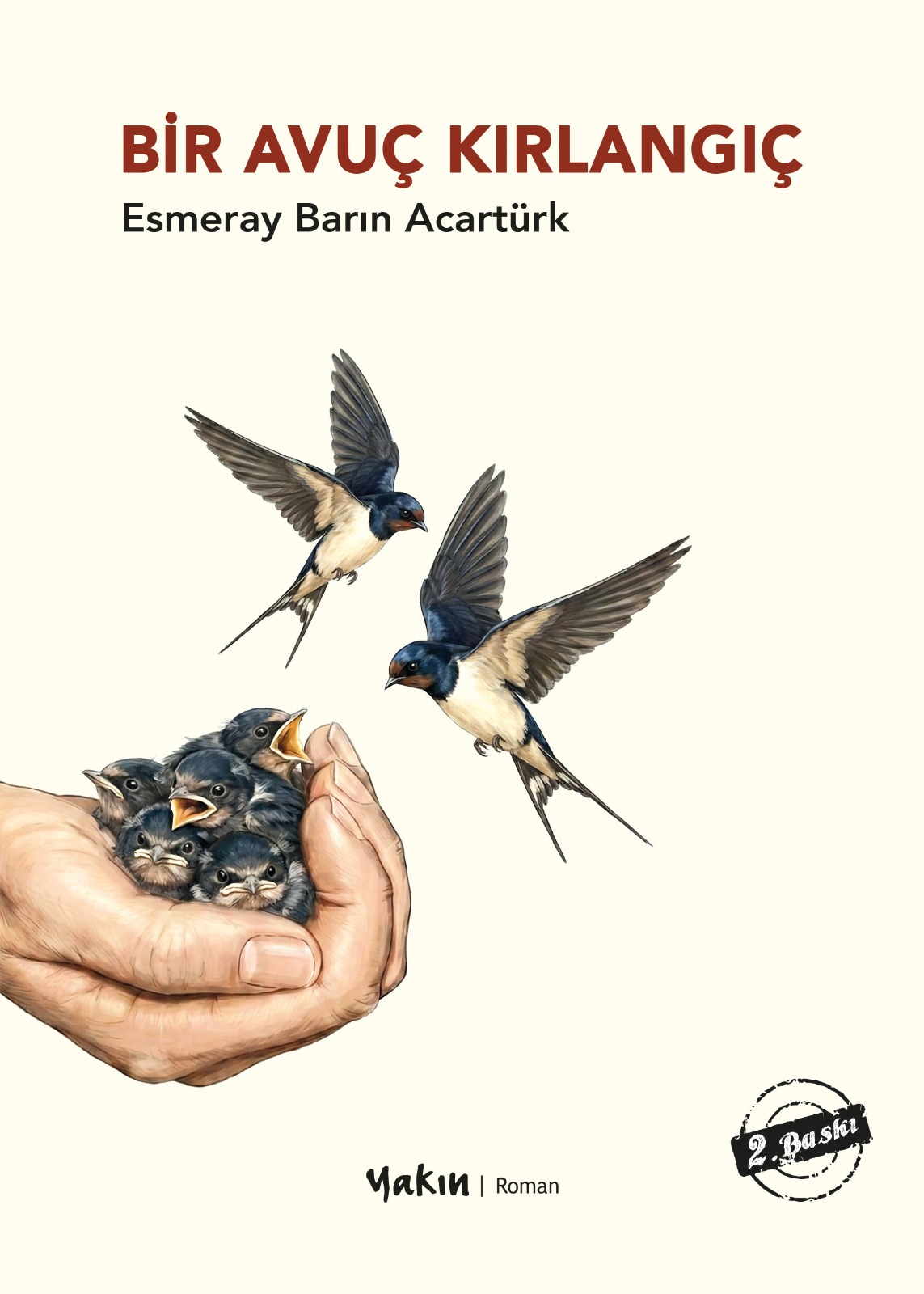 bir avuç kırlangıç 2. baskı Bir Avuç Kırlangıç - Görsel 1