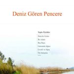 Deniz Gören Pencere