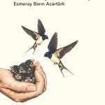 Bir Avuç Kırlangıç